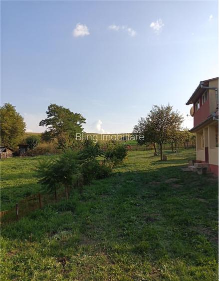 Teren 11.600 mp intravilan, cu casa si utilitati pe proprietate – Campenesti - 2