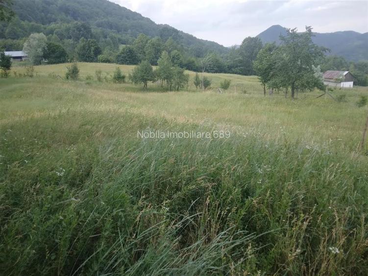 TEREN 2695 MP de vanzare in Statiunea TG OCNA - 2