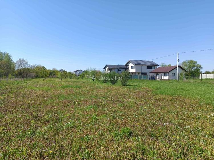 Teren parcelabil, intravilan, 6400mp cu casa renovata - ideal investitor  - 14