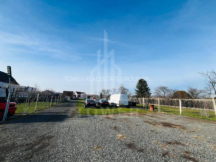 Hala de închiriat | Cristian - 14