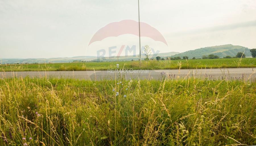 Teren Bod -Strada Harmanului, 732mp, posibil 1098mp/ 2196mp, utilitati - 6