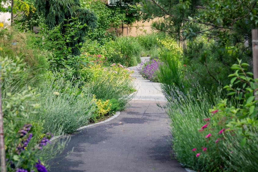 Urban Plaza - Apartamente Premium in Brasov - 15