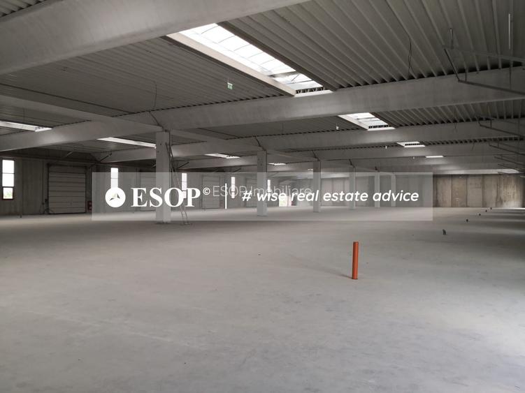 Hale industriale, parc modern, Rudeni, Chitila, Ilfov- ID 15462 - 16