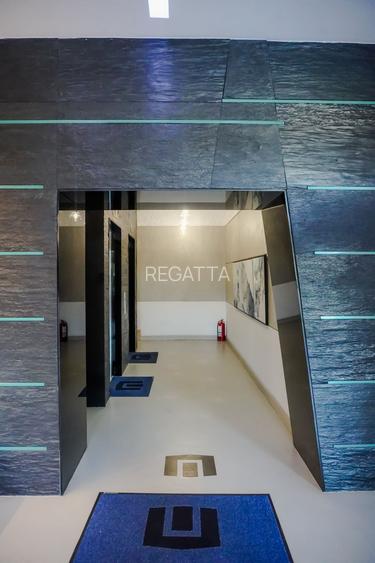 Birouri Piata Charles Gaulles, 301 mp, terasa 100mp, vedere Parcul Herastrau - 15