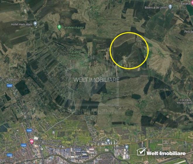 Teren in Fanatele Clujului Valea lui Craiu, 8.1 ha, extravilan - 2