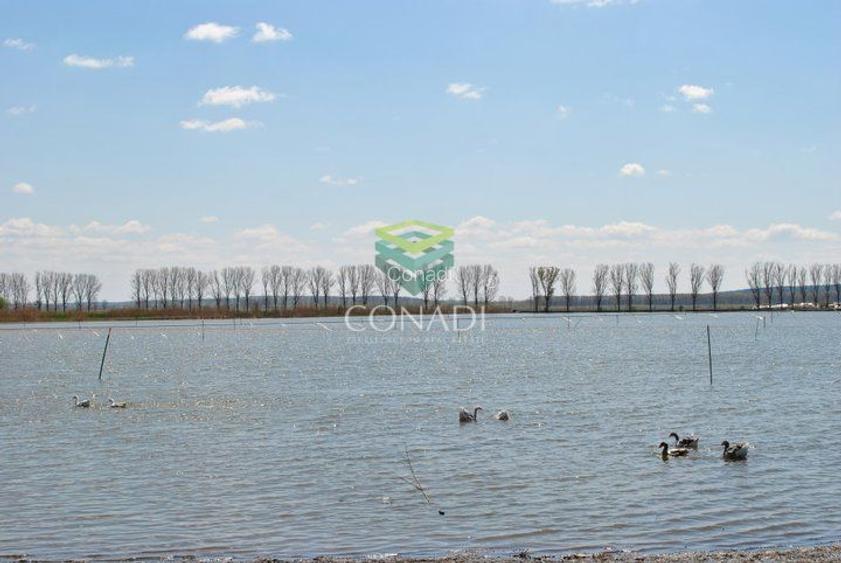 Oportunitate investitionala | Ferma piscicola 233 ha | Calarasi - 7