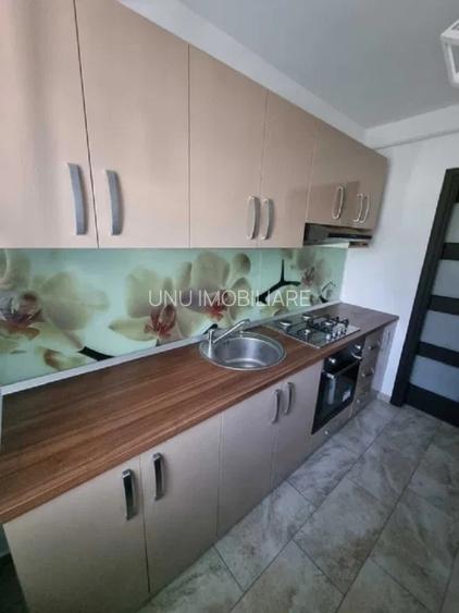 Apartament cu 2 camere - zona Podu Ros - Bld. Primaverii - 3