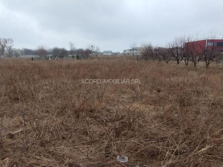 Teren investiție Km 5- Vila Cucoanei - 4