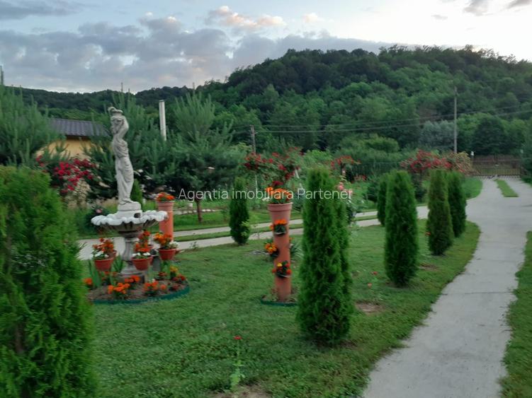 Casa P+M, Malureni -Toplita,  teren 2.798mp - 3