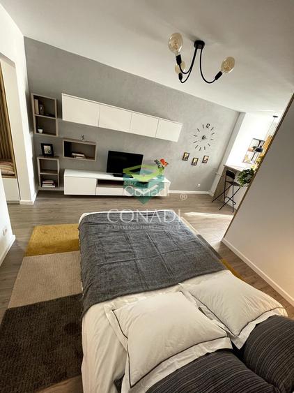 Garsoniera renovata modern str Nada Florilor - Teiul Domnei - 60