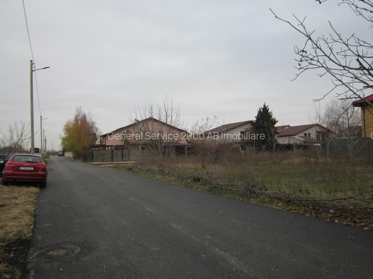 Drumul Targului-Stelelor - 8