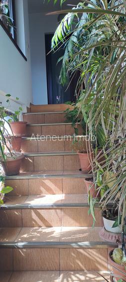 Casa spatioasa zona Titulescu - 6