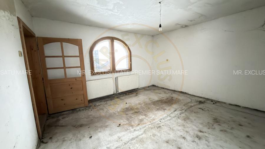 Proprietate cu 2 case | Teren 546 mp | Str. Albinelor Nr.18 - Carei - 18