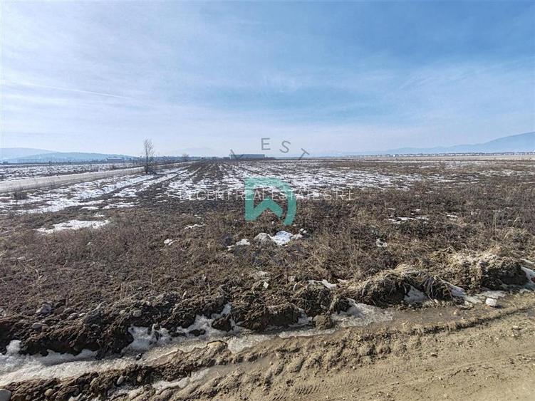 Vanzare teren intravila industrial, 10480 mp, centura Brasov - 3