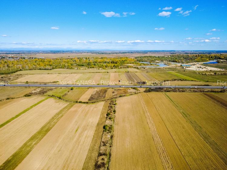 Terenuri industriale cu deschidere la A1, km 64 – Jugureni, Dambovita - 6