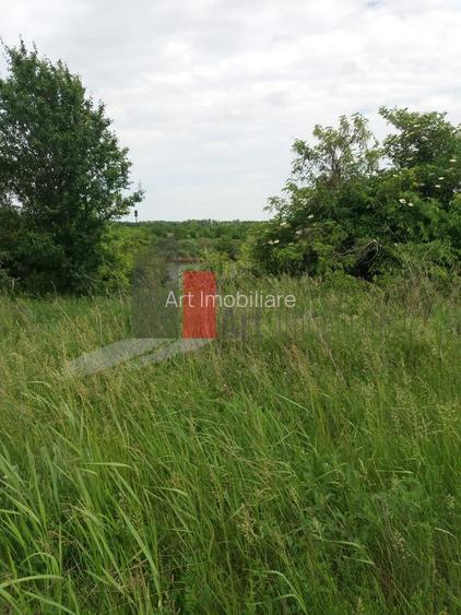 Teren Buftea cu iesire la lac - 28