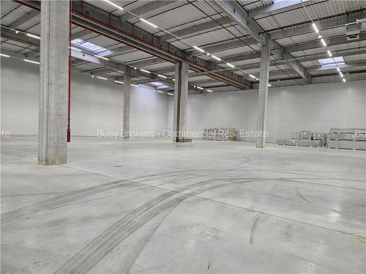 Spatiu Industrial - 6000 mp - Logistica - Productie - Depozitare - Distributie - 7