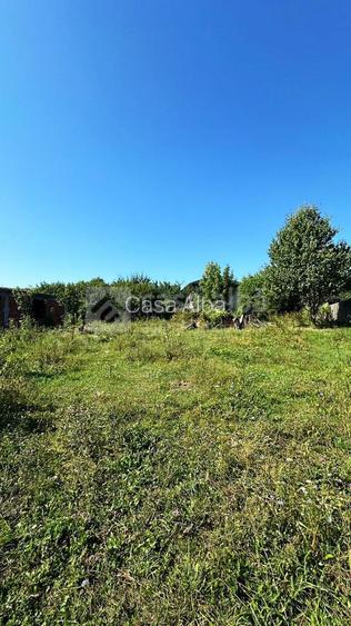 Bucium - Paun, teren intravilan, 1000mp - 3