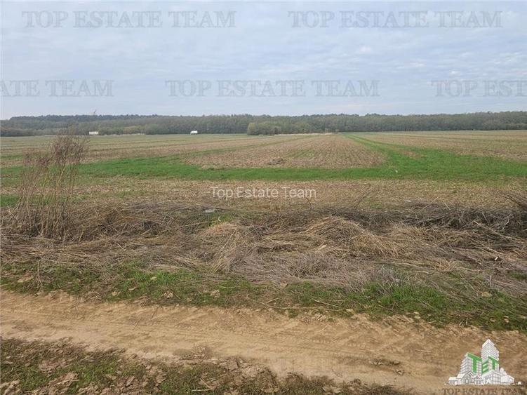 Teren 7500mp in liziera padurii in Dragomiresti-Deal - 3