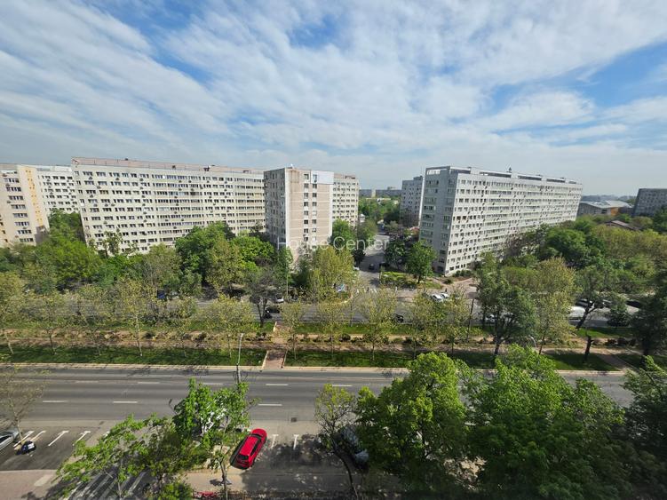 Camil Ressu Park Lake - 10