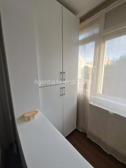 Apartament cochet zona Take Ionescu-cu centrala gaz - 15