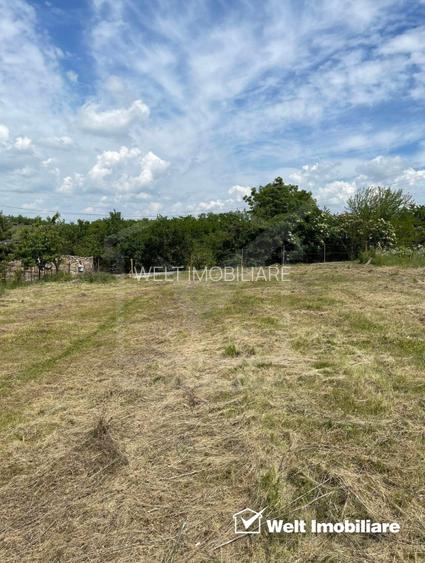 Oportunitate, parcela 1763 mp ,pozitie insorita, acces excelent. Jucu de Sus - 4