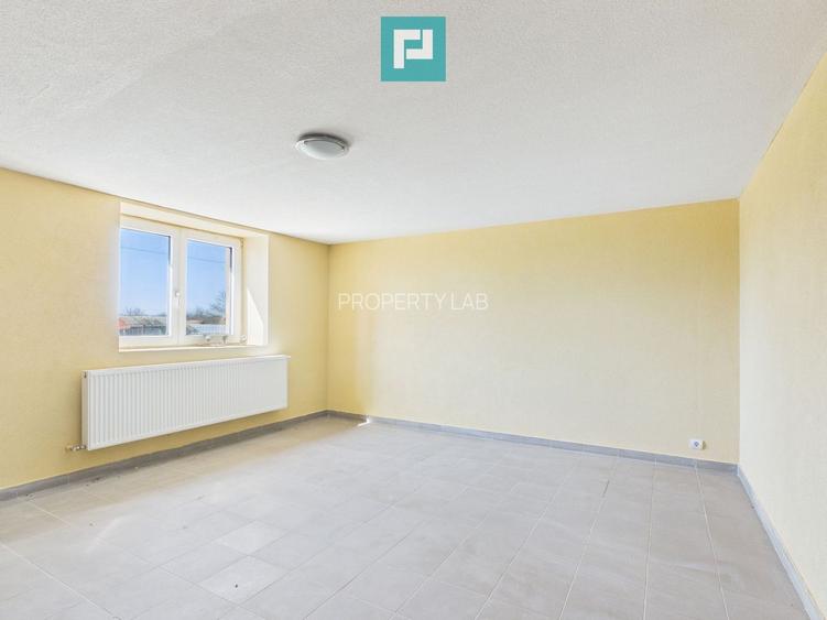 Casă cu 8 camere pentru investiții în Maciova CS - 13