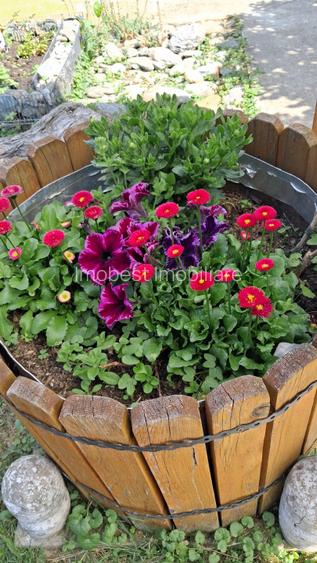 Pensiune, oportunitate excelenta de investitie - 17