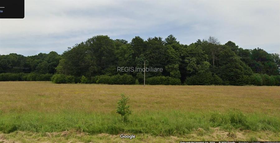 TEREN PRETABIL COMERCIAL, 5000 mp DN1 - 3