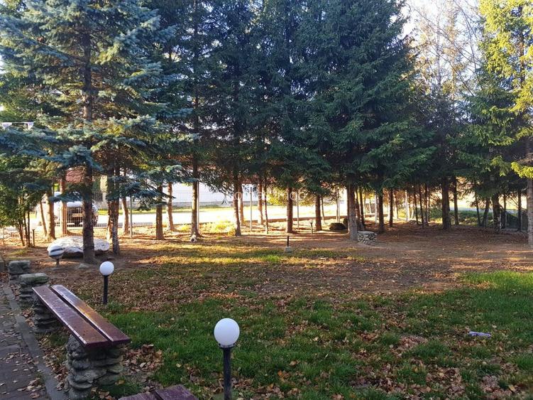 Hotel cu arhitectură montană deosebită poziționare premium Sâmbătă de Sus - 20