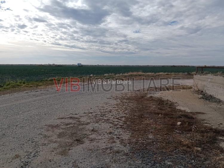 Ferma Agricolă 1.350 Hectare – Grad de Comasare 96–97%, Chișineu Criș, Județul A - 11