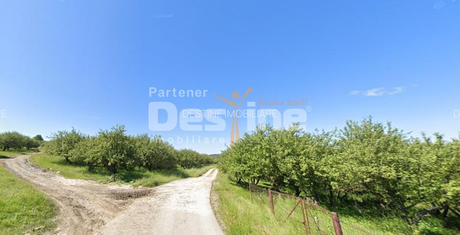 Teren de Vânzare – 34.485 mp | Câmpulung Muscel | Zonă Panoramică & Dezvoltare - 6