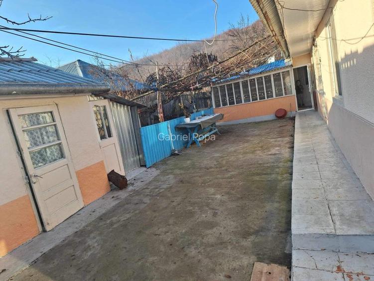 Casa de vanzare in Horga, comuna Epureni - 9