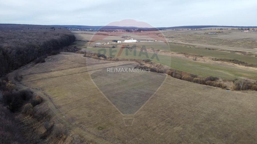 Teren 2925 mp comuna Mitocu Dragomirnei - 6