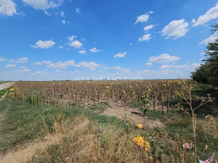 Teren Popesti | A0 | 3.3 HA intravilan | CU P+2 | Comision 0 - 12