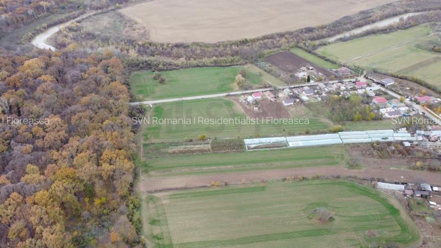 REL4001127 Teren situat langa Padure l Balta Neagra - 2