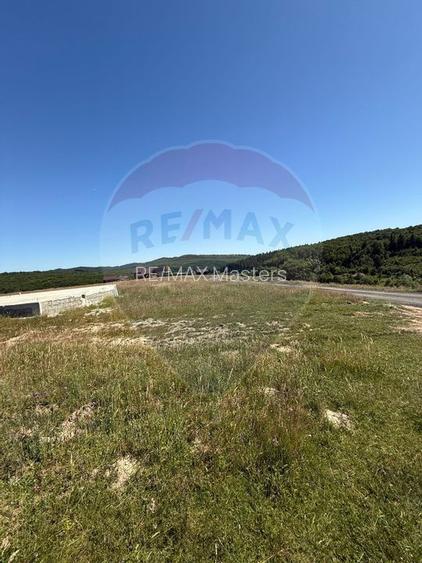 Teren 3,757mp Paltinoasa / Strada principala - 14