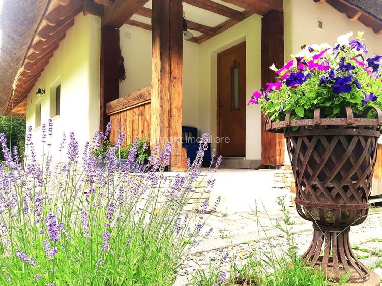 Casa traditionala de vis, aproape de Cluj-Napoca - 4