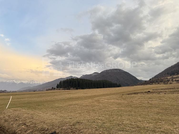 Teren intravilan, 2548 mp, cu priveliște superbă - Zărnești - 3