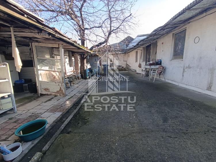 Casa individuala cu teren generos 2158mp, front 12m, livada, Freidorf - 32