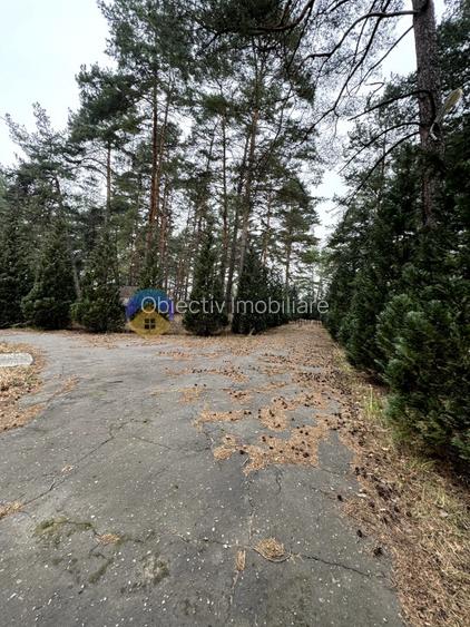 Teren Piatra Neamt - zona strand ideal pentru Hotel - 8