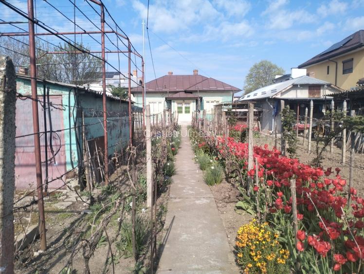 Casa  la curte Oltenita - 8