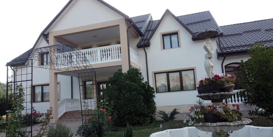 Vila superba 400m2 complet mobilata cu 5000m2 de teren - 3