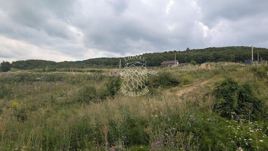 Teren 1000 mp cu utilitati-ideal casa, cabana, investitie-Dealul Jelnei - 5