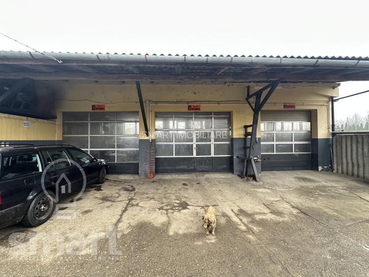 Afacere profitabila de vanzare+ Casa - 6