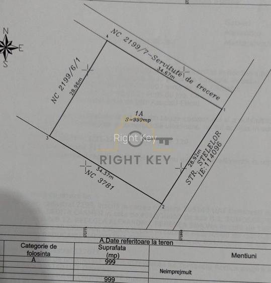 Oportunitate! Strada Stelelor, teren 999mp, F.S 29m! Comision 0%! - 4
