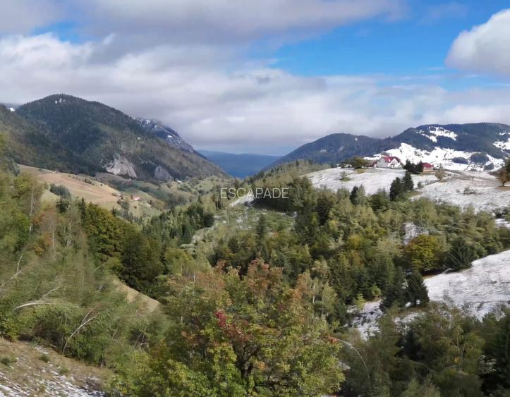 Teren superb intravilan  Pestera- Brasov, 11.908 mp - 15