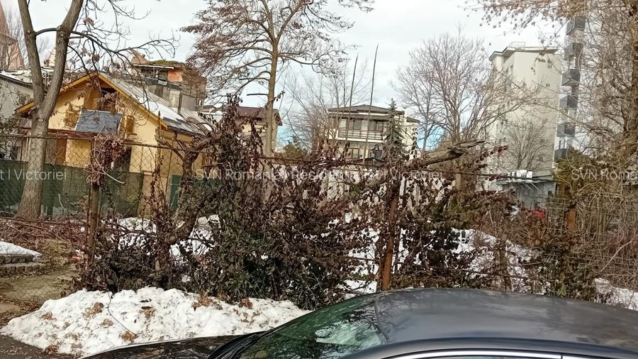 REL4001272 Teren 1 Mai Metrou - 11