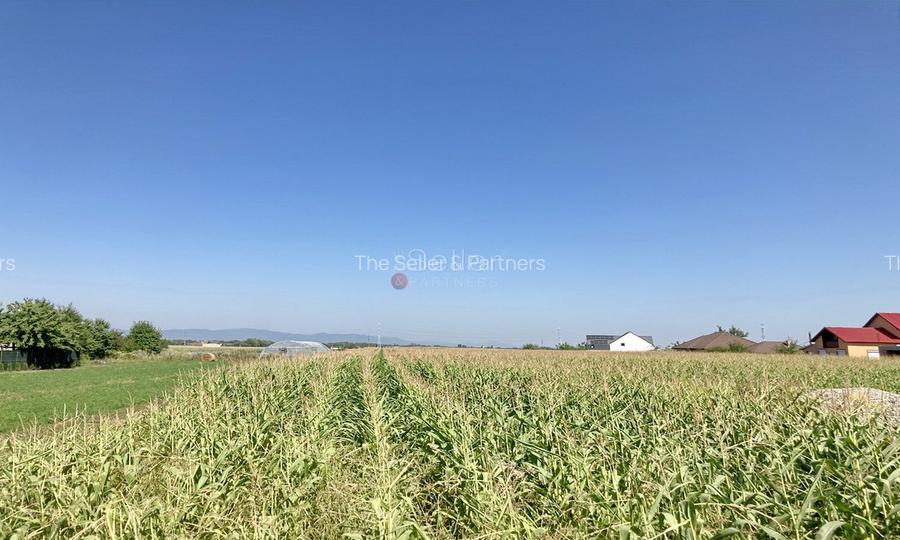 Teren Pretabil Investitie - 4