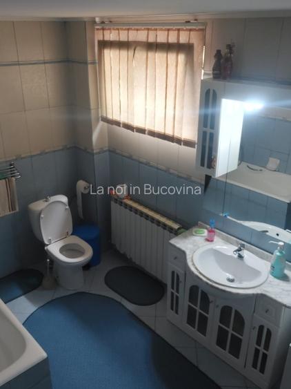 Va aducem spre vanzare o proprietate cocheta, case, foisor si curte - 6